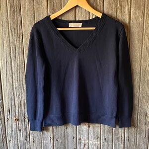 Everlane Navy V-Neck Sweater